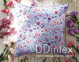DD intex