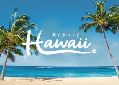 ハワイカーテン