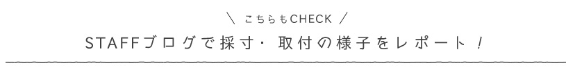 出張採寸受付中