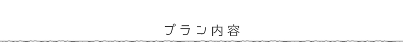 プラン内容