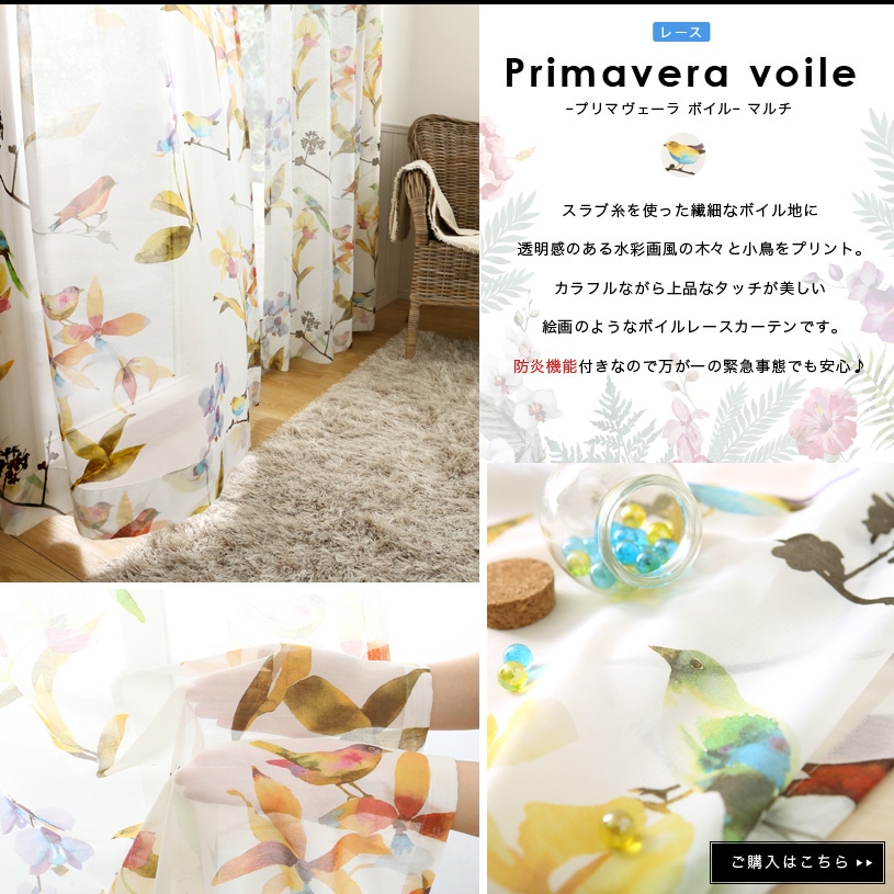 ～プリマヴェーラボイル～