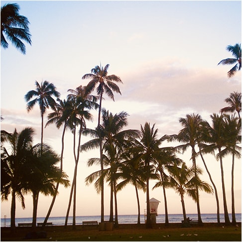 Hawaiiのある暮らし マハナ ハワイアンズ パーフェクトスペースカーテン館