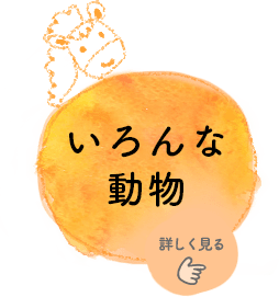 子供部屋カーテン 長く使えて可愛くておしゃれ お子様とご一緒にお楽しみください パーフェクトスペースカーテン館 子供部屋カーテン 長く使えて可愛くておしゃれ お子様とご一緒にお楽しみください パーフェクトスペースカーテン館