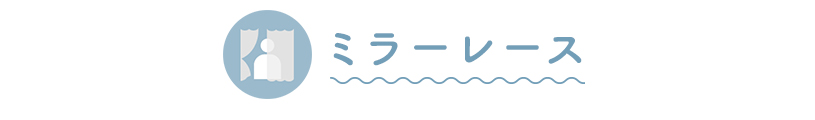 プライバシー(遮像)レース