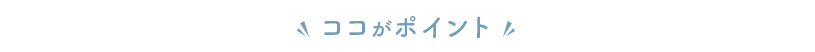 ここがポイント