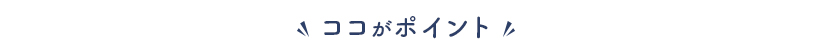 ここがポイント
