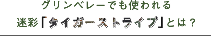 ~グリンベレー~