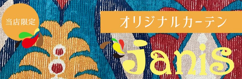~ジャニス~