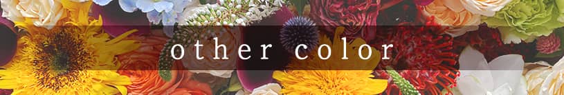 othercolor