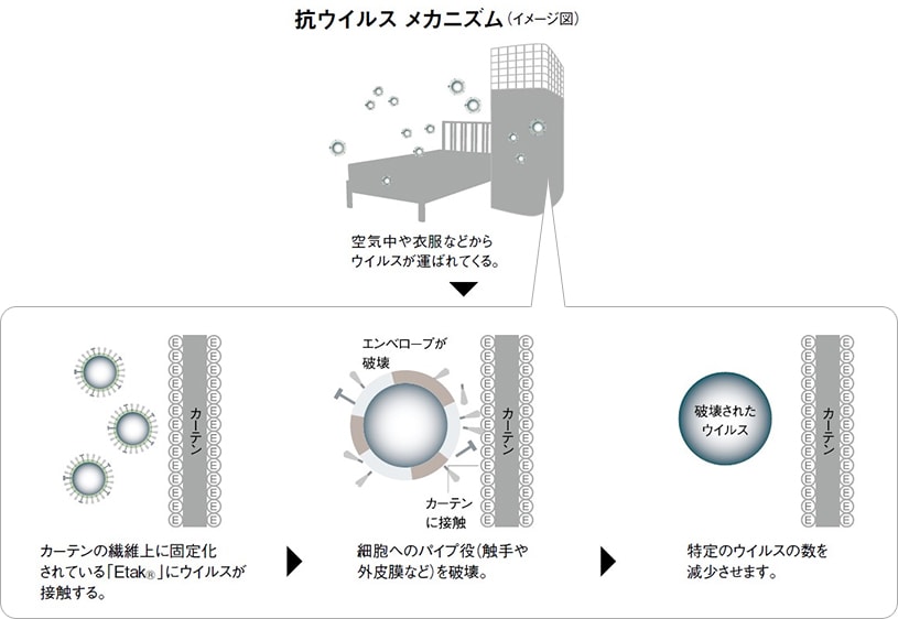 ファミリーガード ストライプ ホワイト