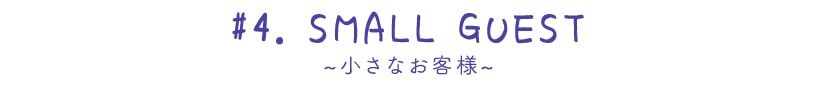 ~チャットウェイボイル~