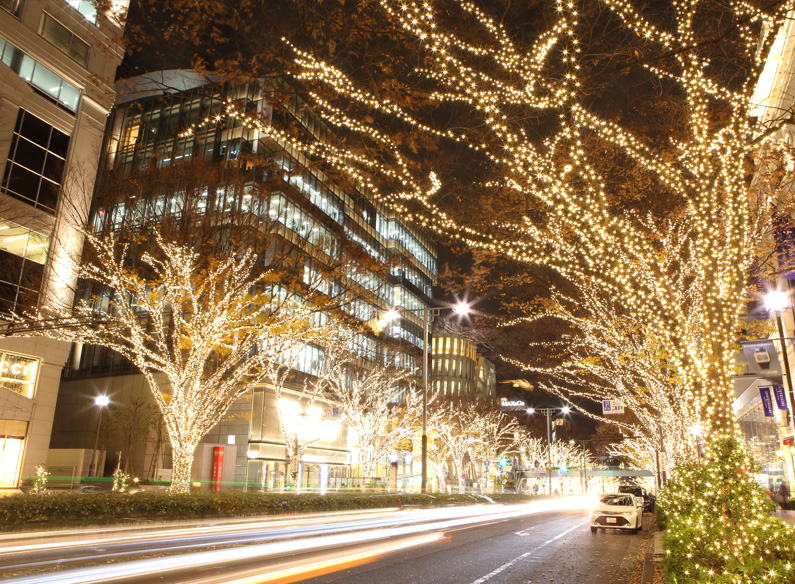 表参道イルミネーション17 7年ぶりに表参道全域で点灯で話題 約90万球のled使用 One Life パーフェクトスペースカーテン館