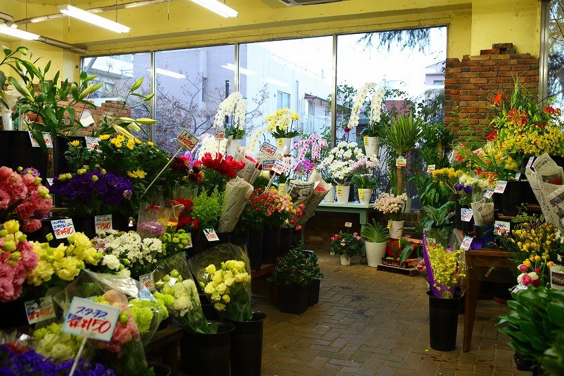 青山 おススメ フラワーショップ4選 日々の生活に彩りを 隠れたお花の名店をご紹介 One Life パーフェクトスペースカーテン館 青山 おススメ フラワーショップ4選 日々の生活に彩りを 隠れたお花の名店をご紹介 One Life パーフェクトスペースカーテン館
