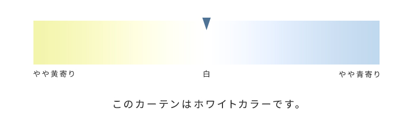 色味の説明
