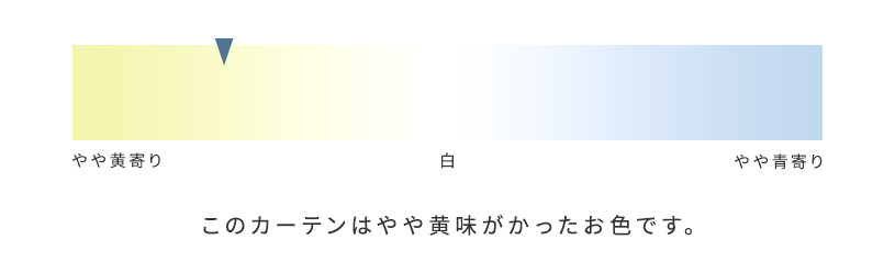 色味の説明