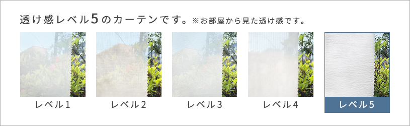 透け感レベルの説明