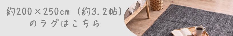 約200×250cm (約3.2帖)サイズのラグはこちら