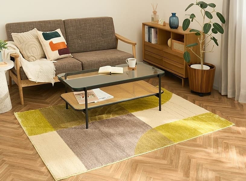 失敗なし！柄のラグ・カーペット・絨毯選び｜お部屋に合う一枚が見つかる特集